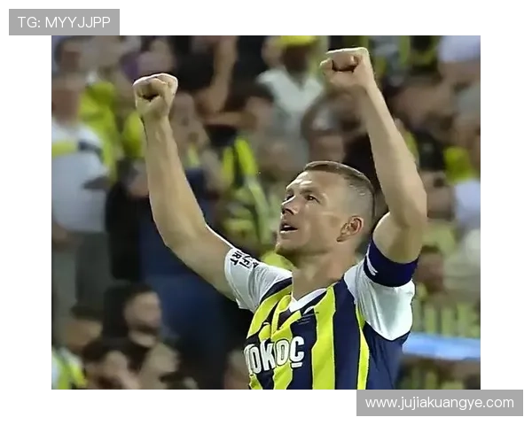 森林补报奥尔特加可战费内巴切